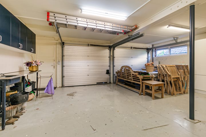 Foto 28 van Lijster 24