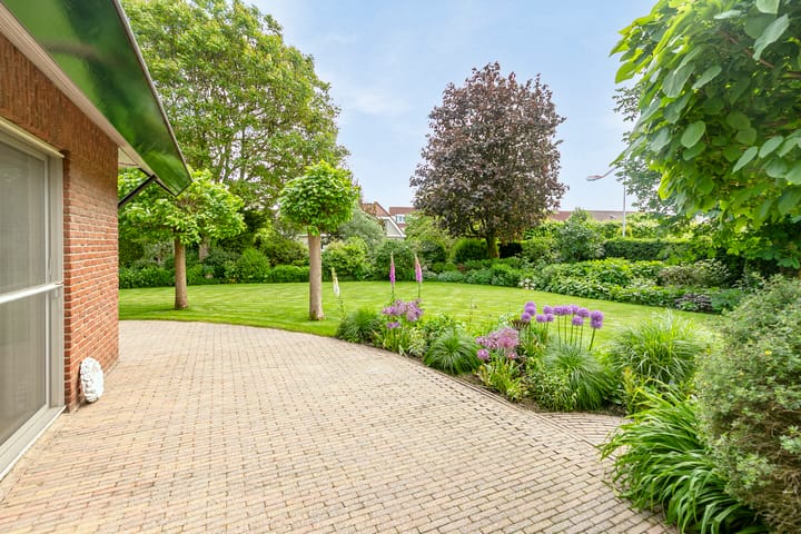 Foto 29 van Lijster 24