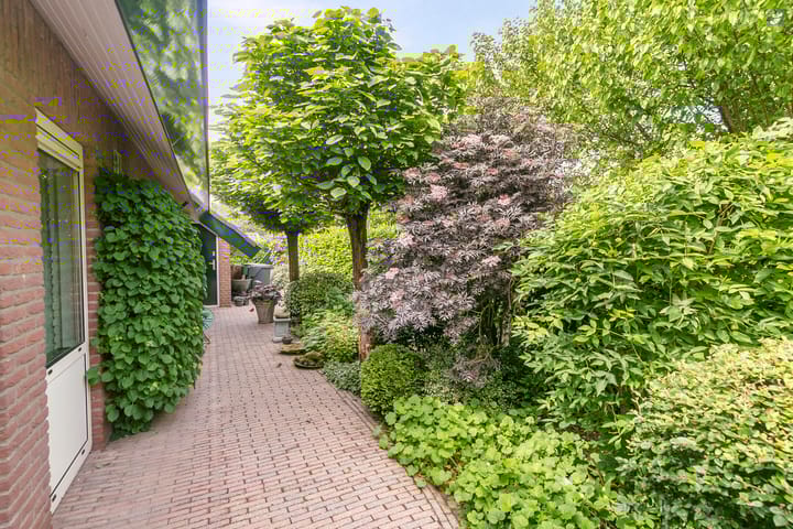 Foto 30 van Lijster 24