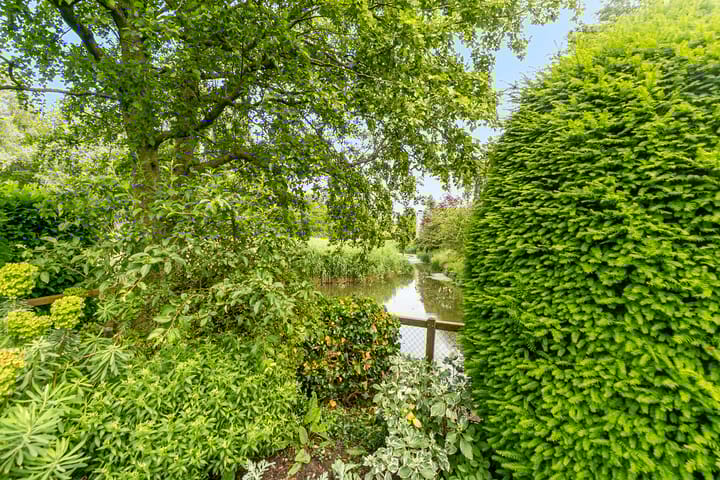 Foto 31 van Lijster 24