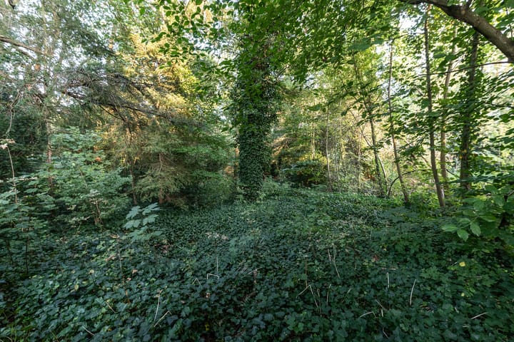 Foto 6 van Wikkelaan