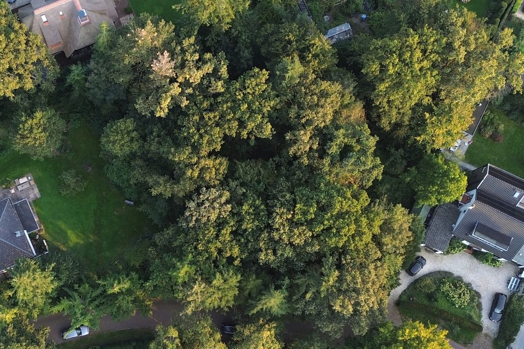 Foto 2 van Wikkelaan