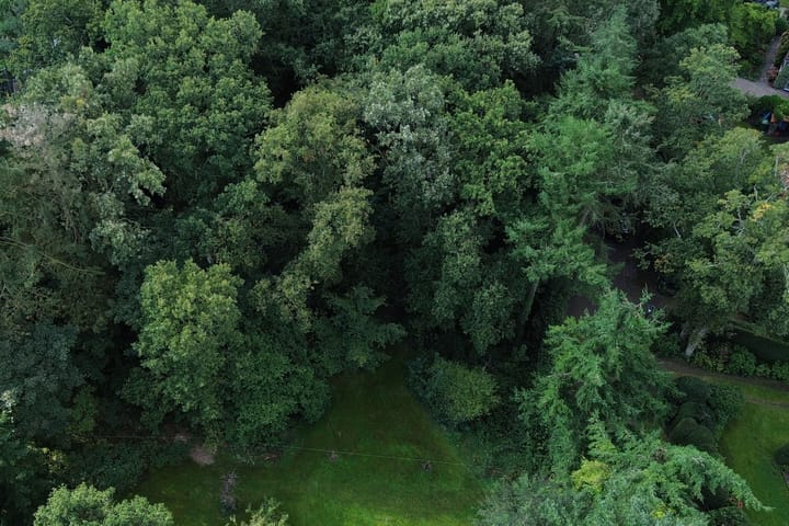 Photo 4 of Wikkelaan