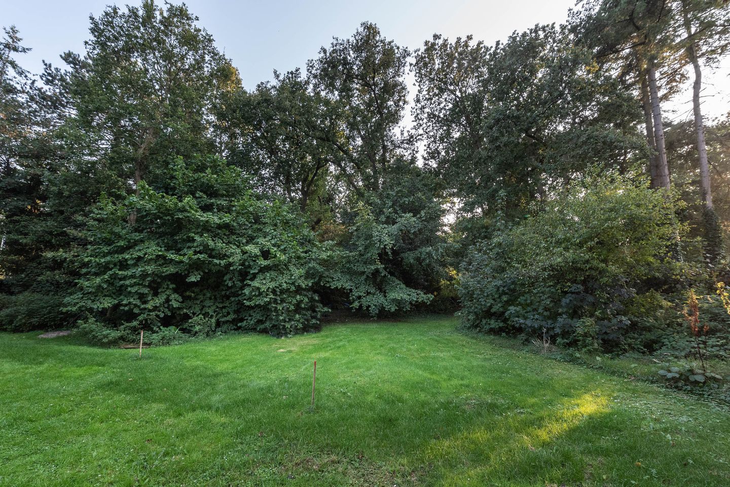 Foto 5 van Wikkelaan