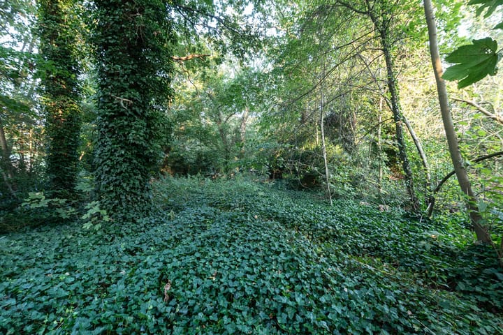 Photo 7 of Wikkelaan