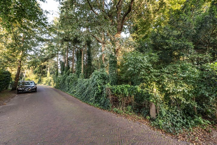 Photo 8 of Wikkelaan