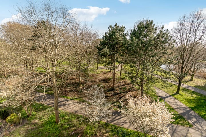 Photo 31 of Gitaarstraat 171