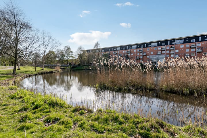 Photo 36 of Gitaarstraat 171