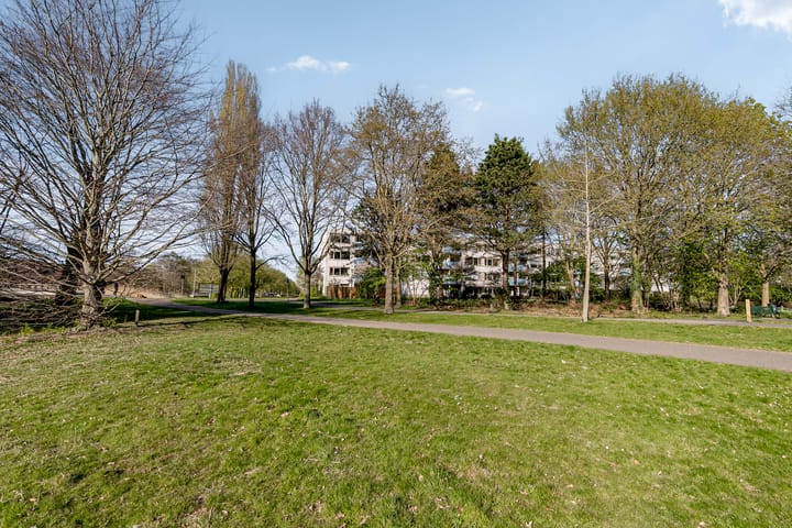 Photo 38 of Gitaarstraat 171