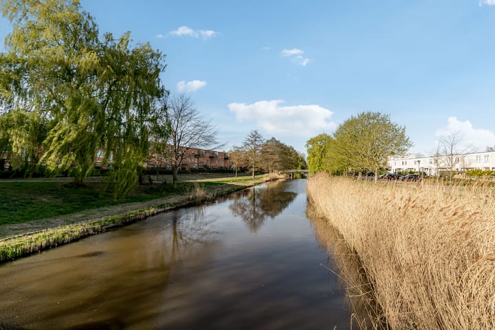 Photo 39 of Gitaarstraat 171