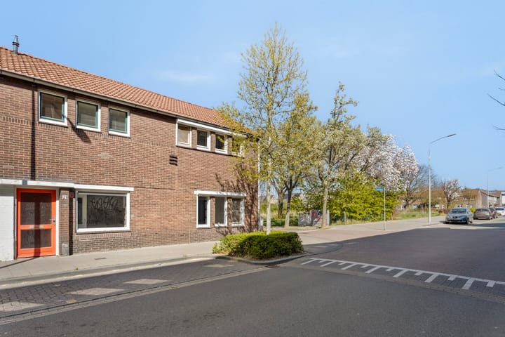 Foto 1 van Mesdagstraat 1