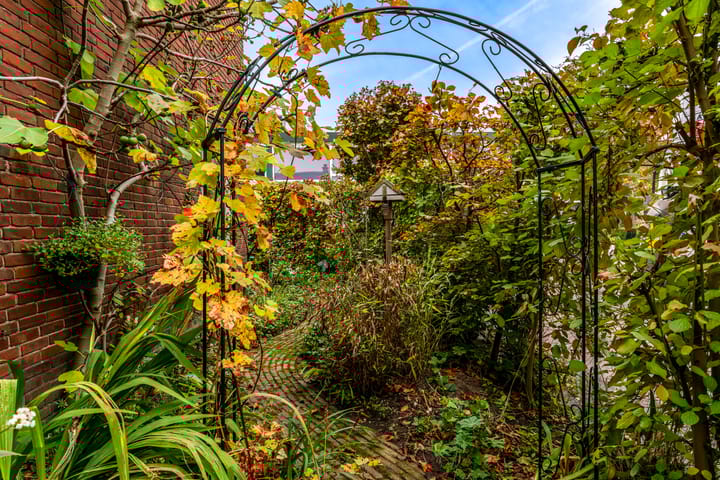 Foto 36 van J.H. Leopoldstraat 20