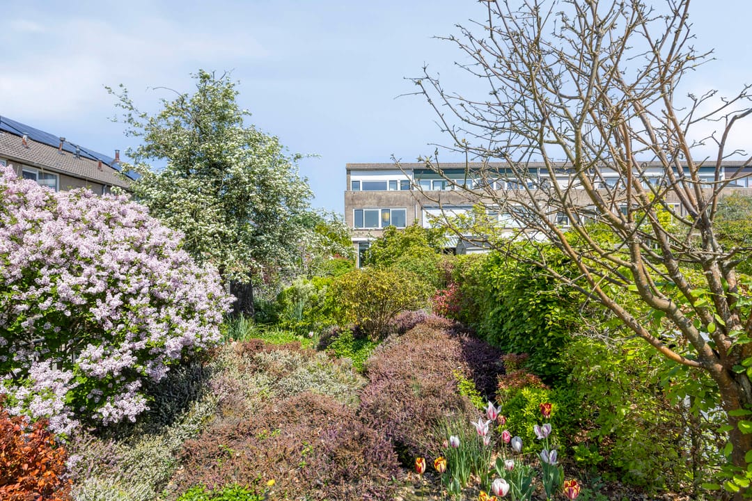 Foto 26 van Johanna van Breugelplein 14