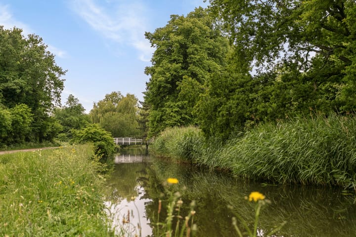 Photo 17 of Ahornstraat 41