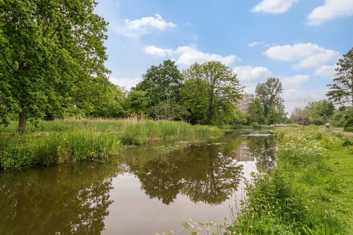 Photo 18 of Ahornstraat 41