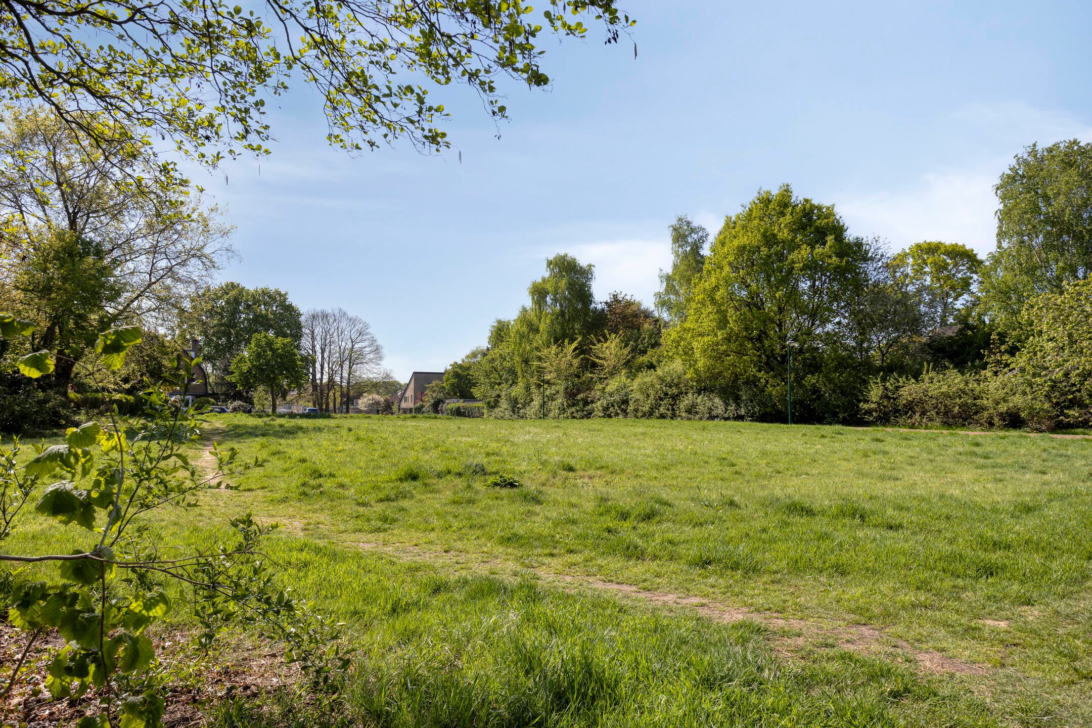 Photo 36 of Van Burenlaan 6