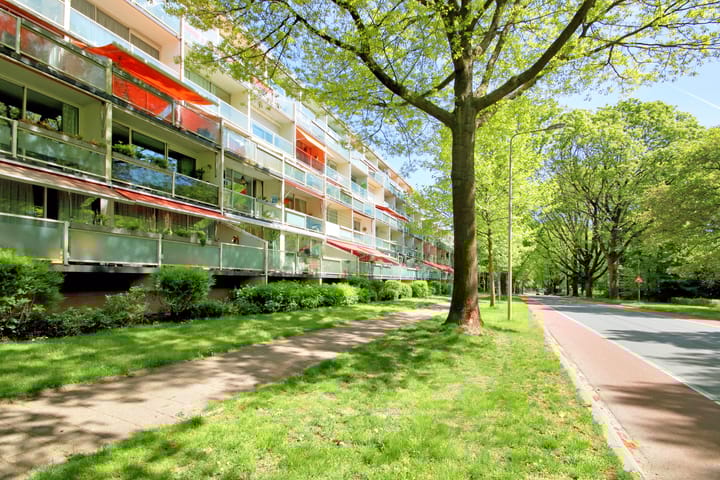 Foto 1 van Dillenburg 132