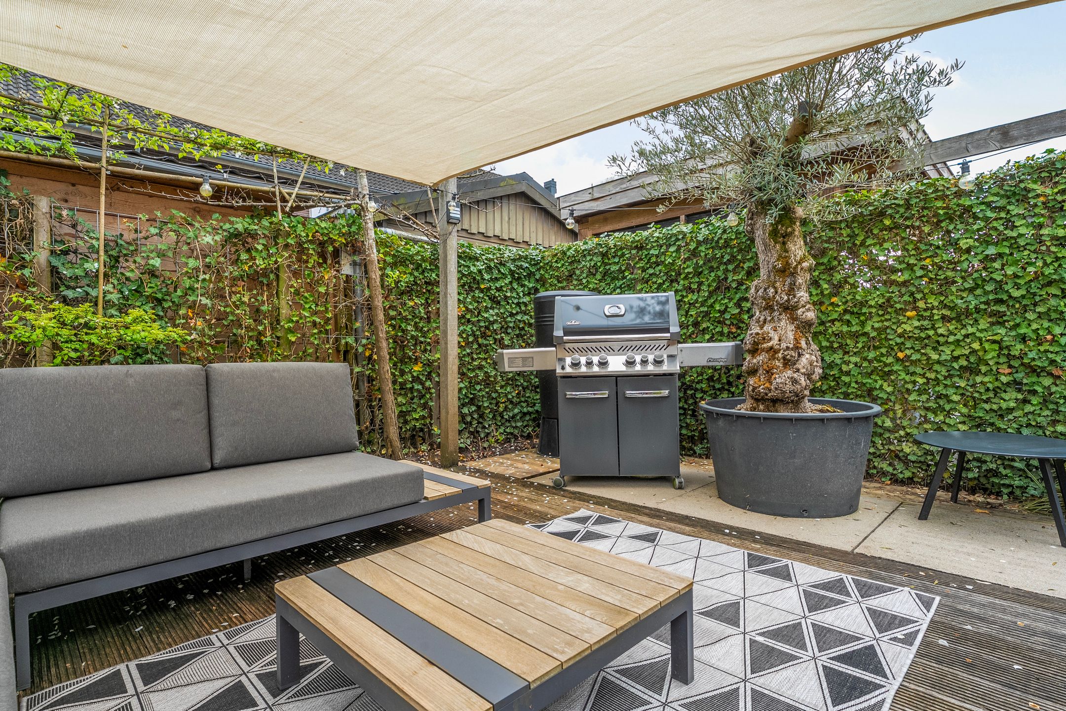 Foto 48 van Egelantier 9