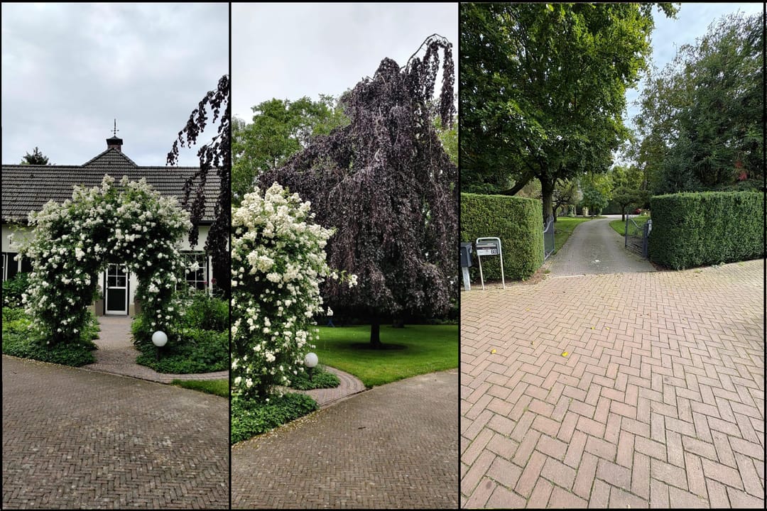 Foto 91 van Pastoor van der Marckstraat 60