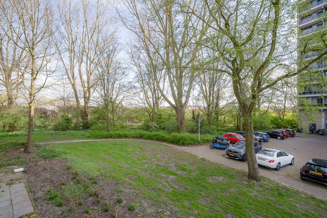 Photo 22 of Fideliolaan 182