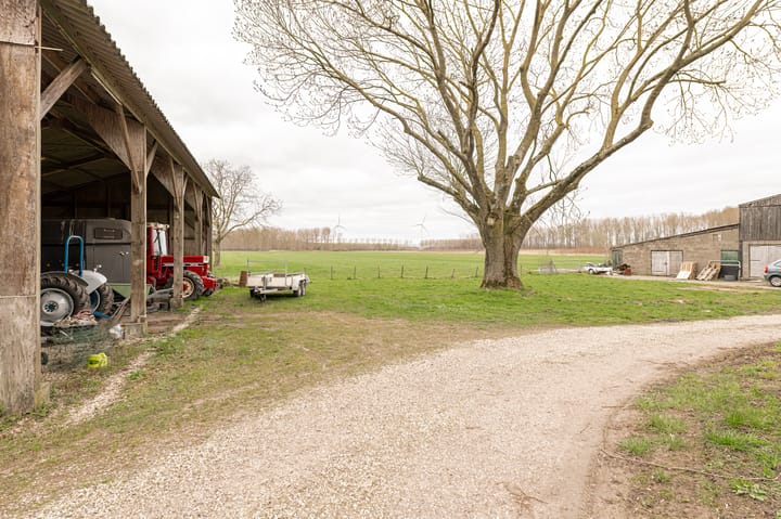 Foto 8 van Kooiweg Oost 9