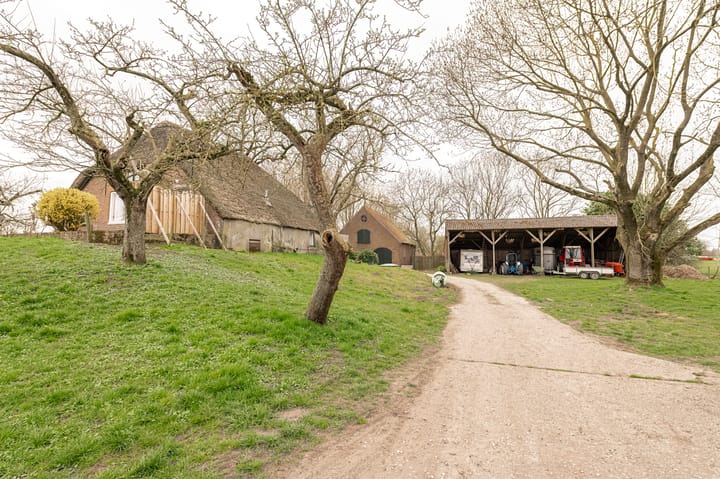 Foto 10 van Kooiweg Oost 9