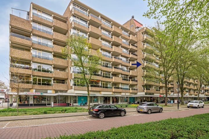 Foto 1 van Koning Lodewijklaan 248