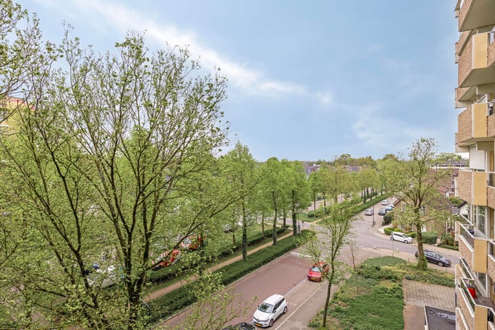Foto 10 van Koning Lodewijklaan 248