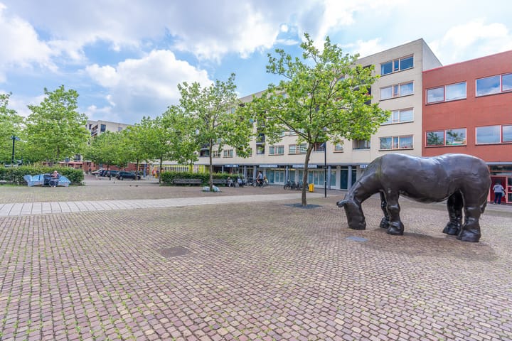 Photo 28 of Keucheniusstraat 13