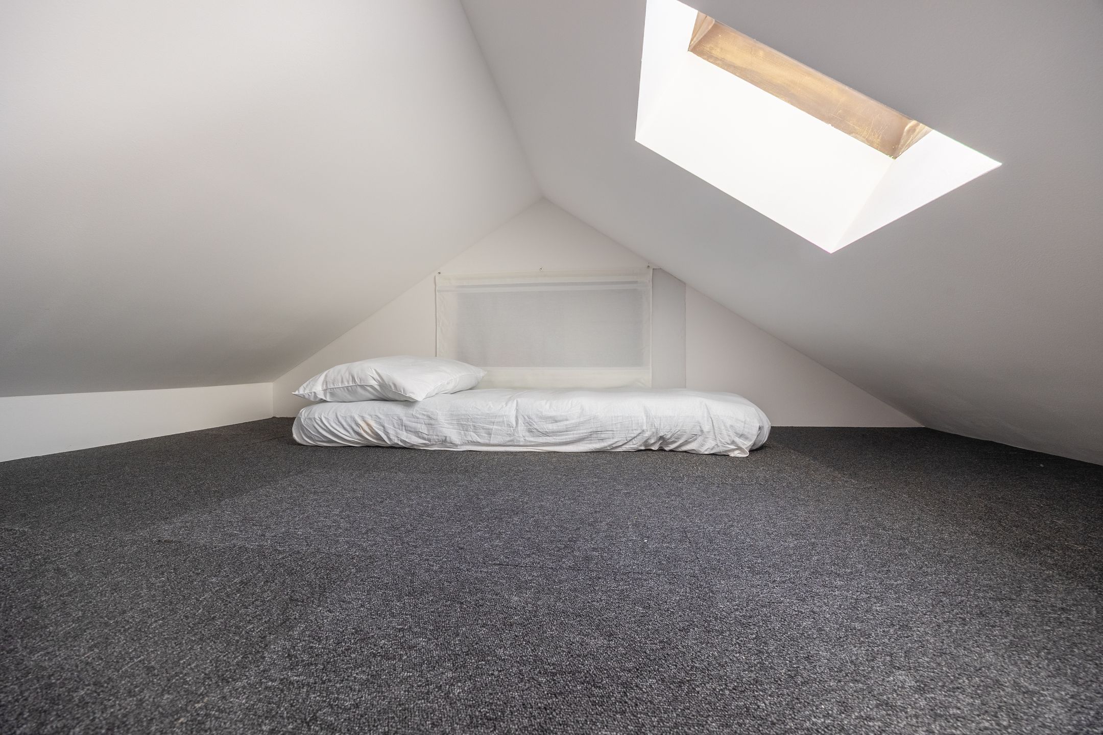 Photo 39 of Singelstraat 28