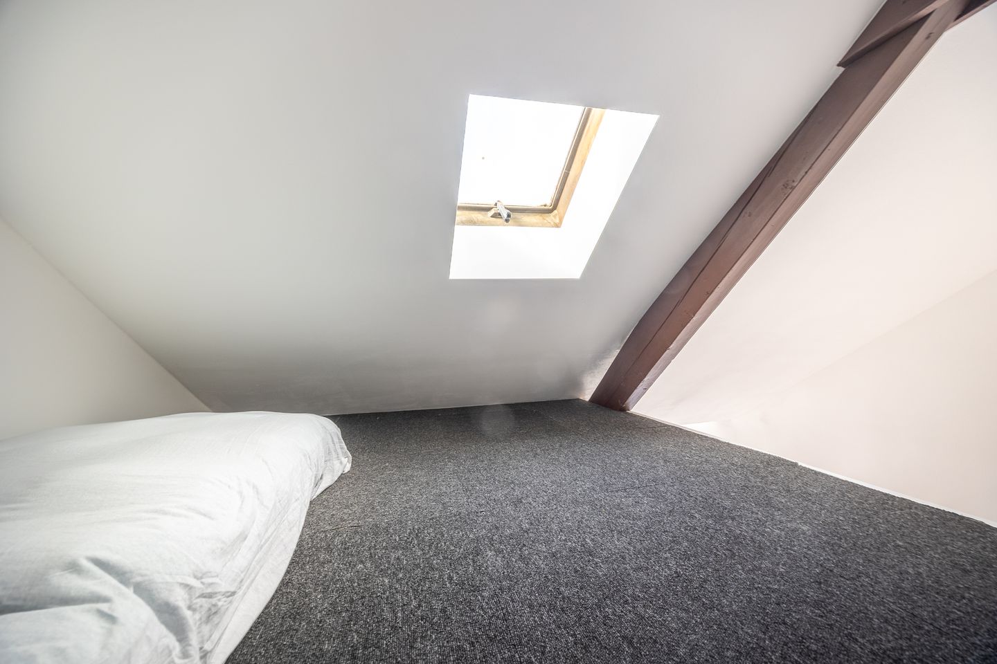 Photo 40 of Singelstraat 28