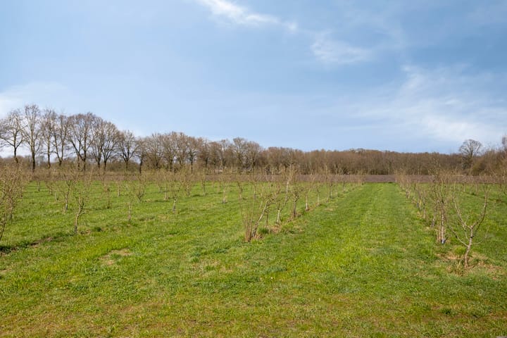 Foto 28 van Eikenlaan 12