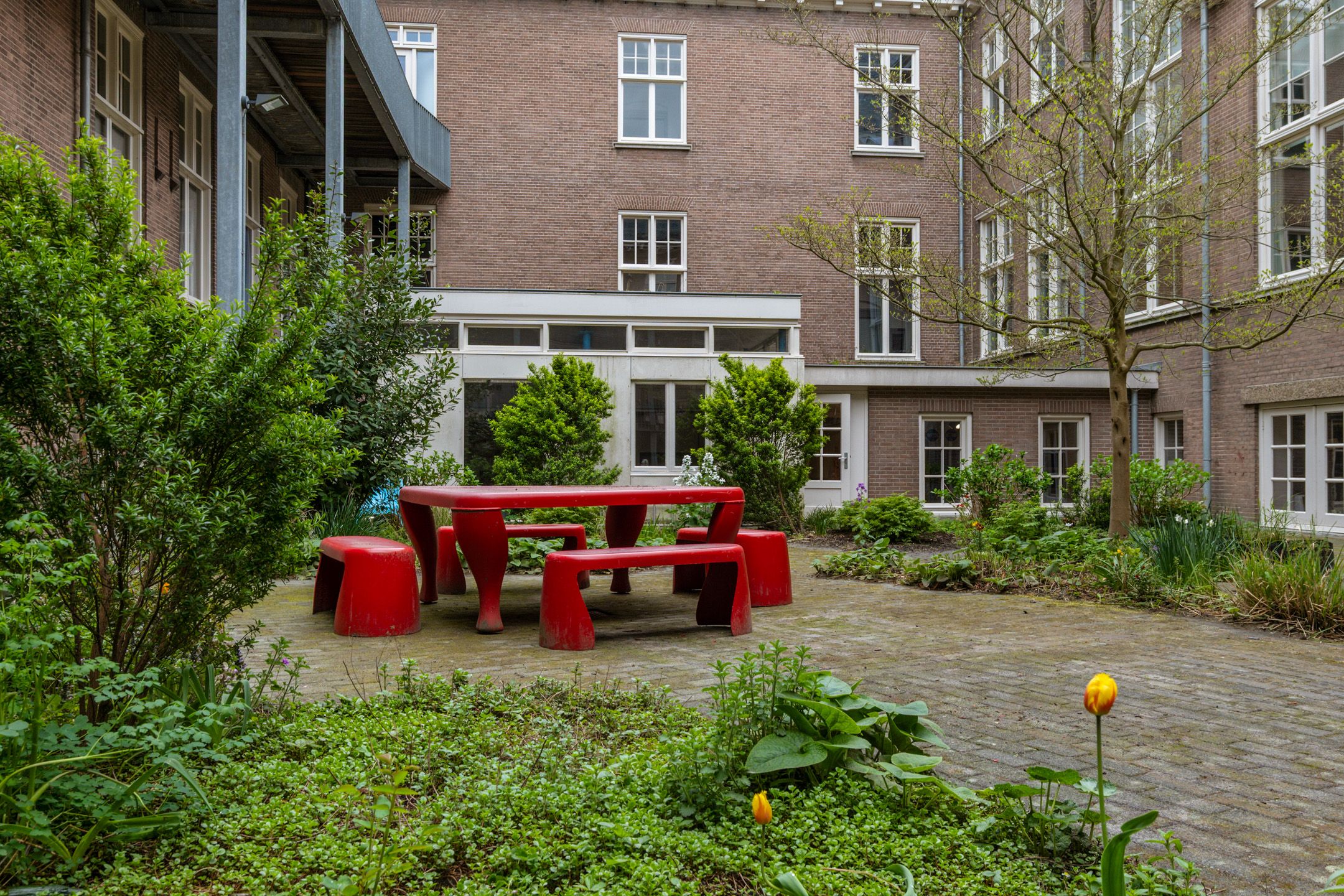 Foto 6 van Langestraat 242