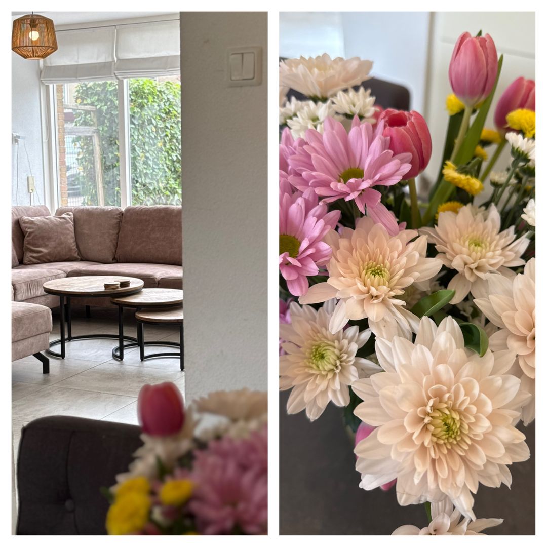 Foto 16 van Burgemeester Van den Steenstraat 8