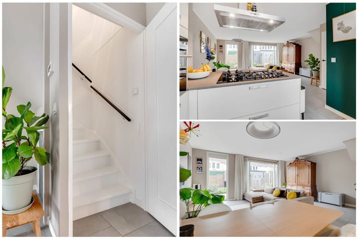 Foto 19 van Distelvlinderweg 66