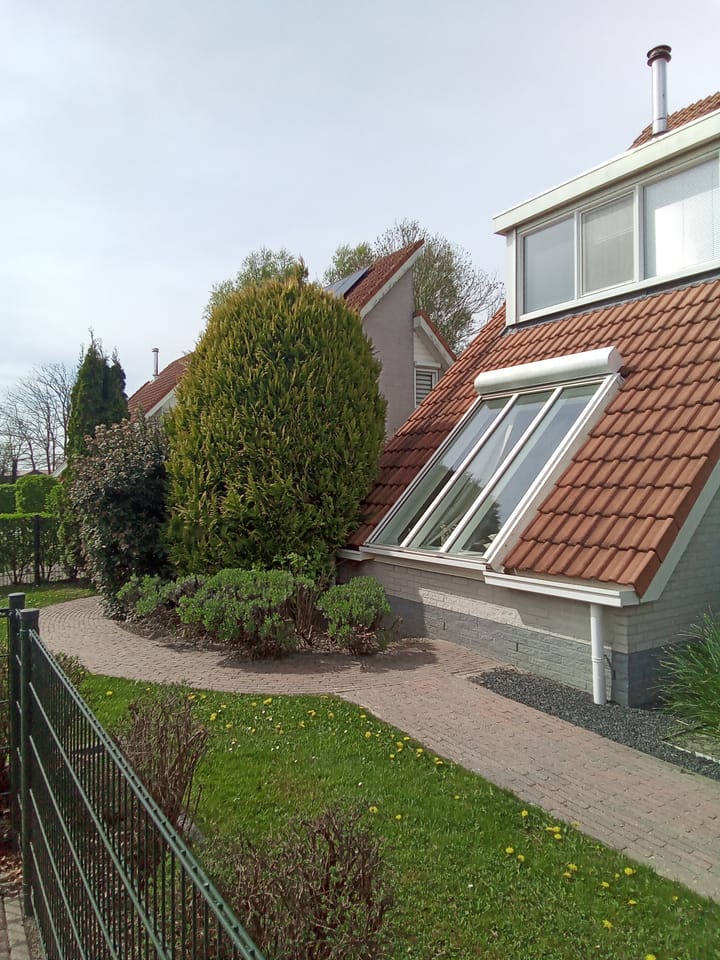 Photo 3 of Strand 38