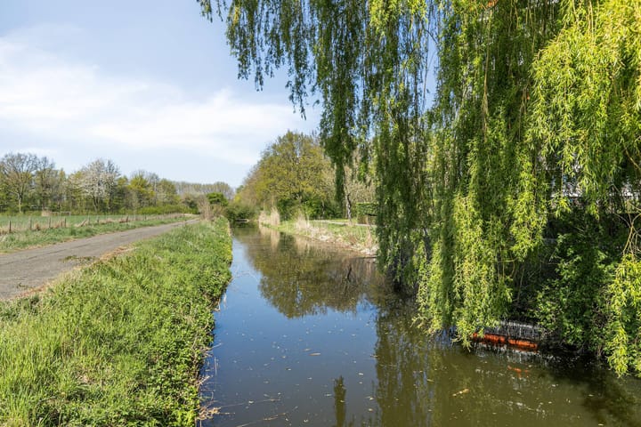 Foto 5 van Seringenplantsoen 235