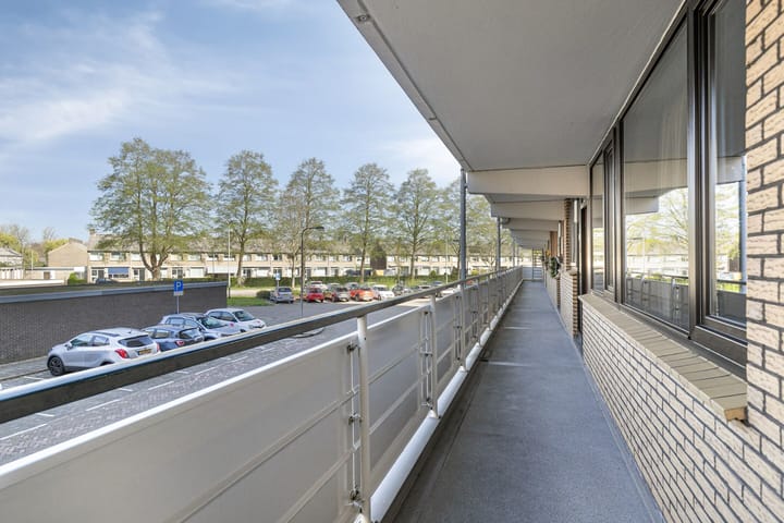 Foto 12 van Seringenplantsoen 235