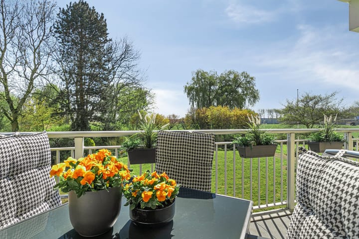 Foto 31 van Seringenplantsoen 235