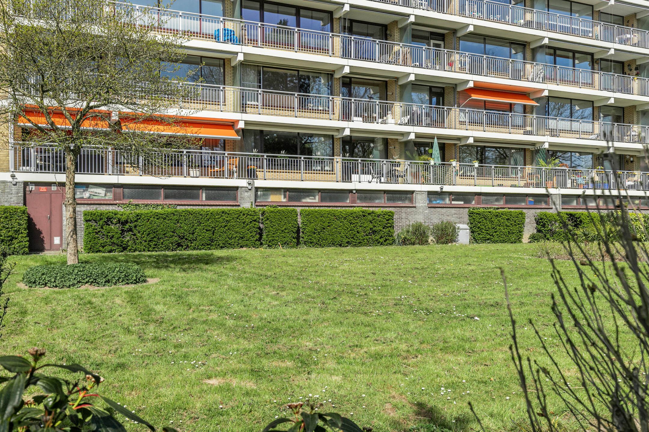 Photo 33 of Seringenplantsoen 235