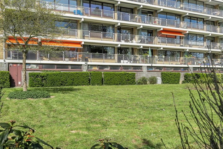 Foto 33 van Seringenplantsoen 235