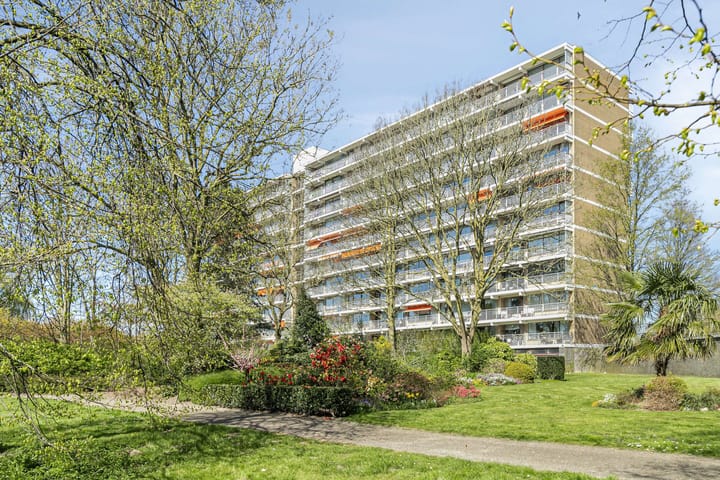 Foto 34 van Seringenplantsoen 235