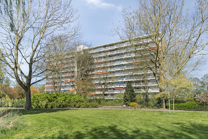 Foto 35 van Seringenplantsoen 235