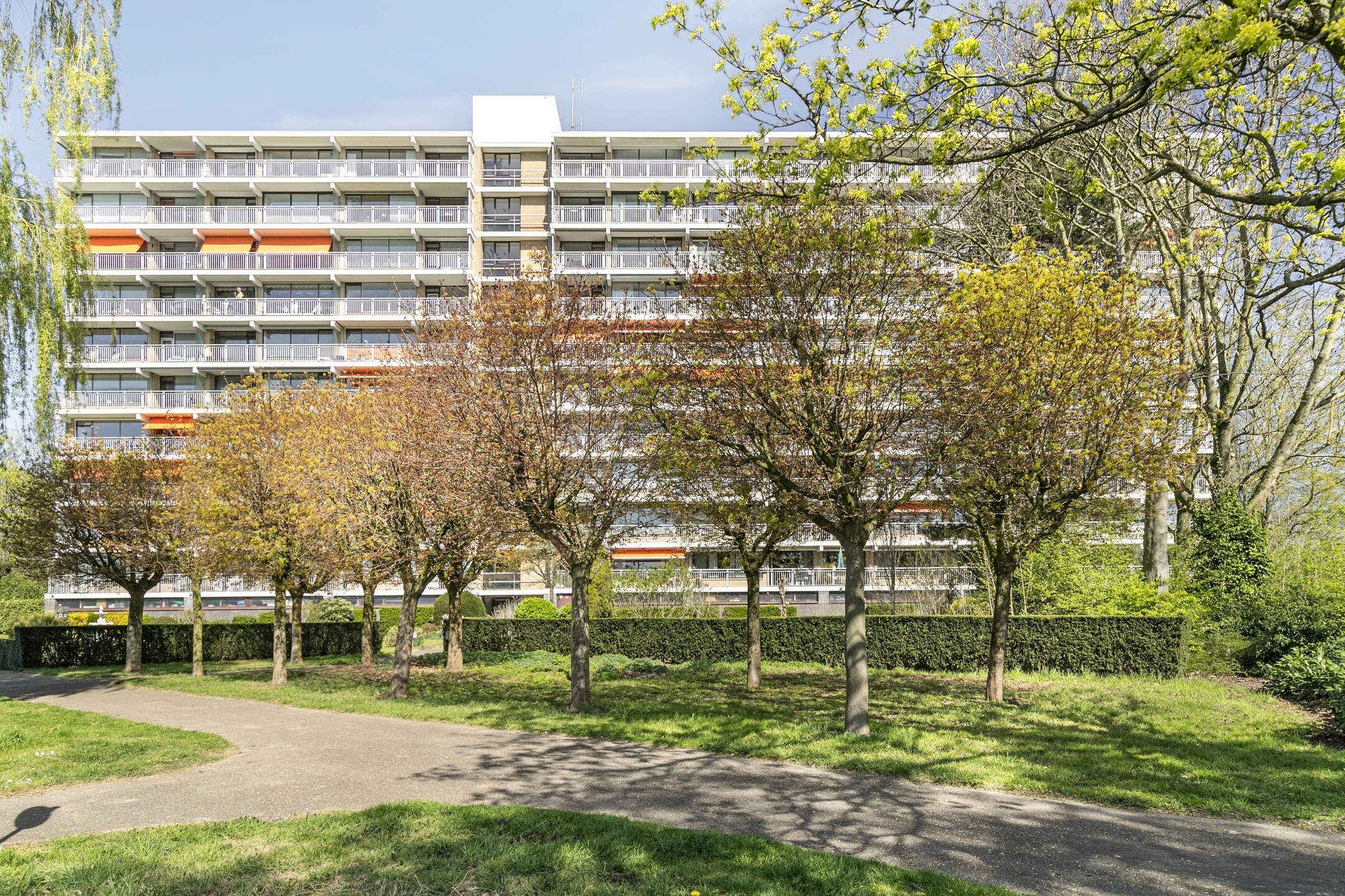 Photo 36 of Seringenplantsoen 235