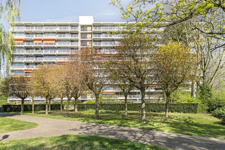 Foto 36 van Seringenplantsoen 235