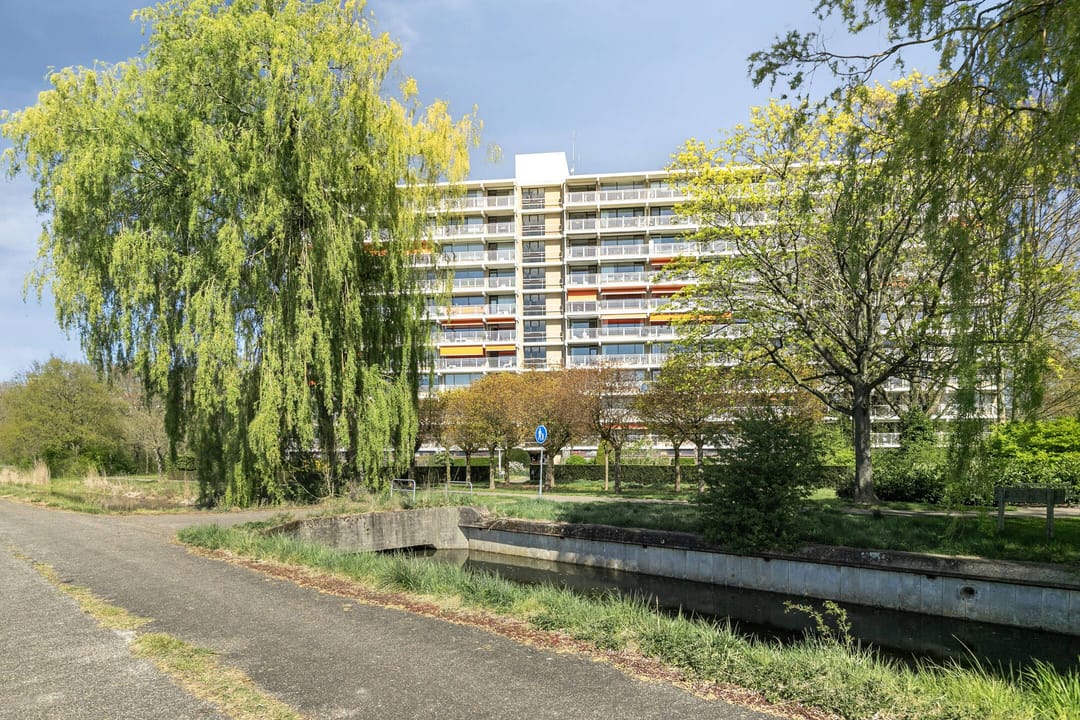 Photo 37 of Seringenplantsoen 235