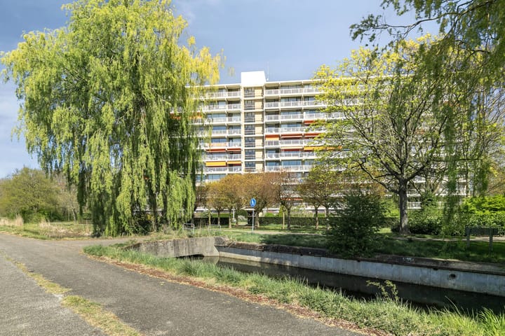 Foto 37 van Seringenplantsoen 235