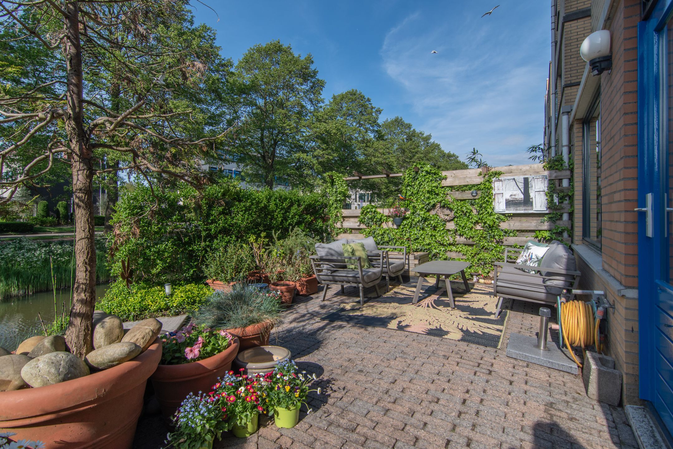 Photo 21 of Wengéhout 28