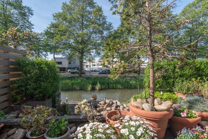 Foto 24 van Wengéhout 28