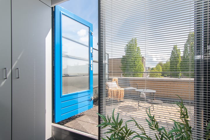 Foto 34 van Wengéhout 28